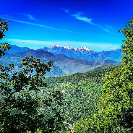 Nuits Magiques Au Village Entre Mer Et Montagnes Bigorno エクステリア 写真