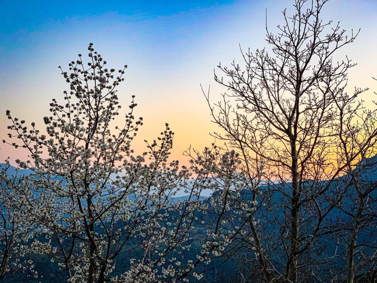 Nuits Magiques Au Village Entre Mer Et Montagnes Bigorno エクステリア 写真